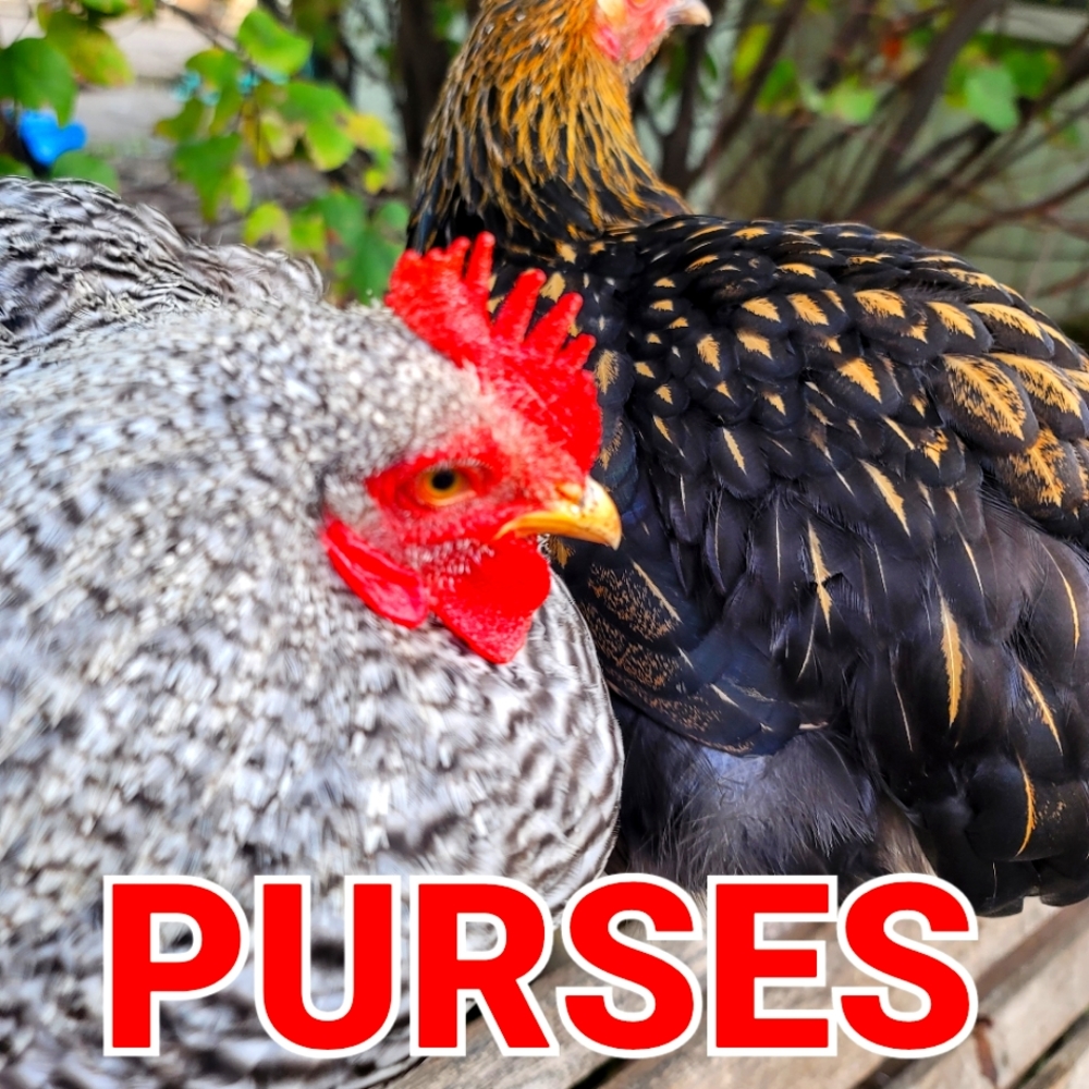 NEW & VINTAGE PURSES